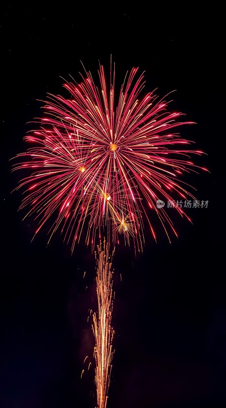 璀璨烟花绽放夜空色彩斑斓光芒四射