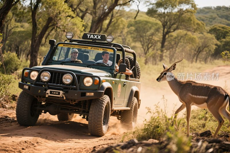 越野车上的人观察奔跑羚羊