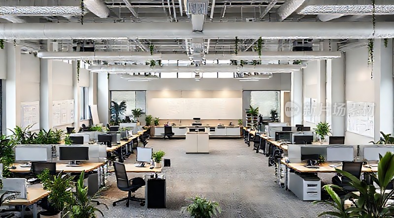 现代办公空间绿意盎然的工作环境