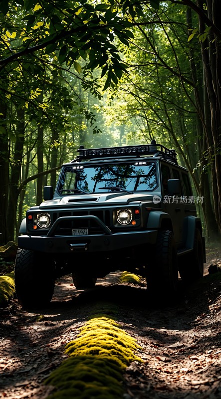森林探险之旅越野车穿越绿色隧道