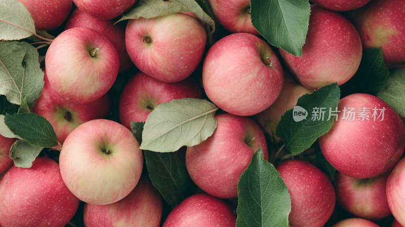 满是红苹果与绿叶的画面