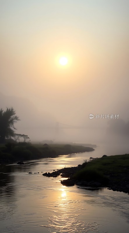 晨雾中的金色河流