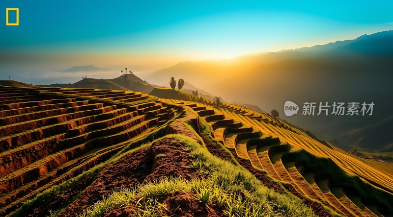 梯田晨曦阳光洒满大地