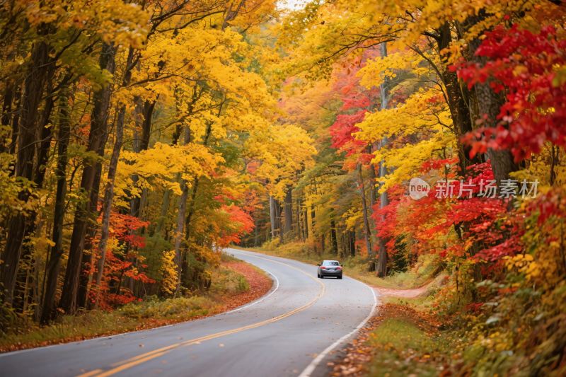 秋日林间公路上行驶的汽车