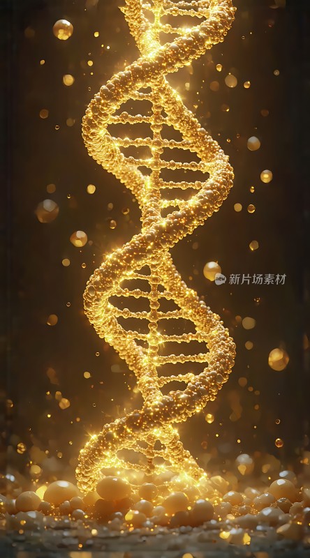 金色DNA螺旋结构