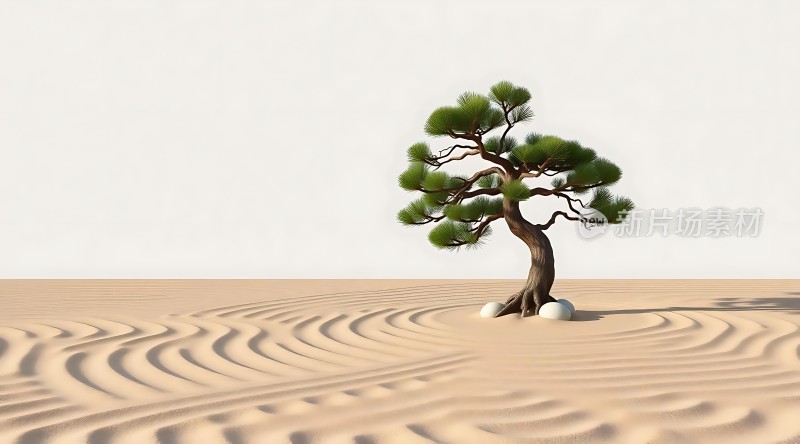 沙漠绿洲坚韧生命