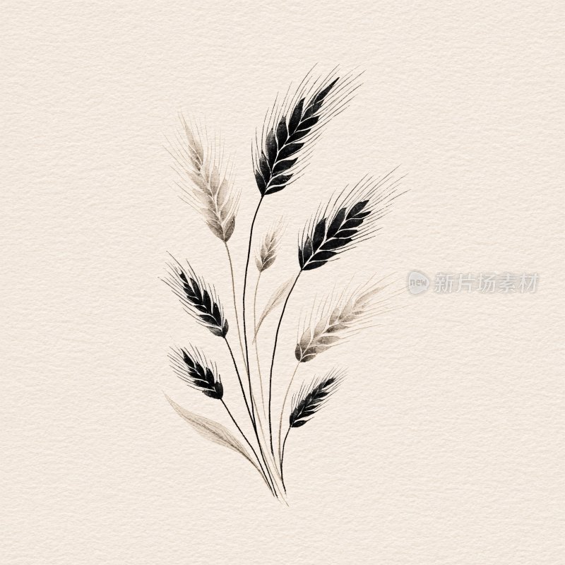 简约黑白麦穗插画