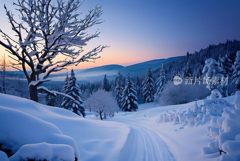 冬天冰雪天空自然风景