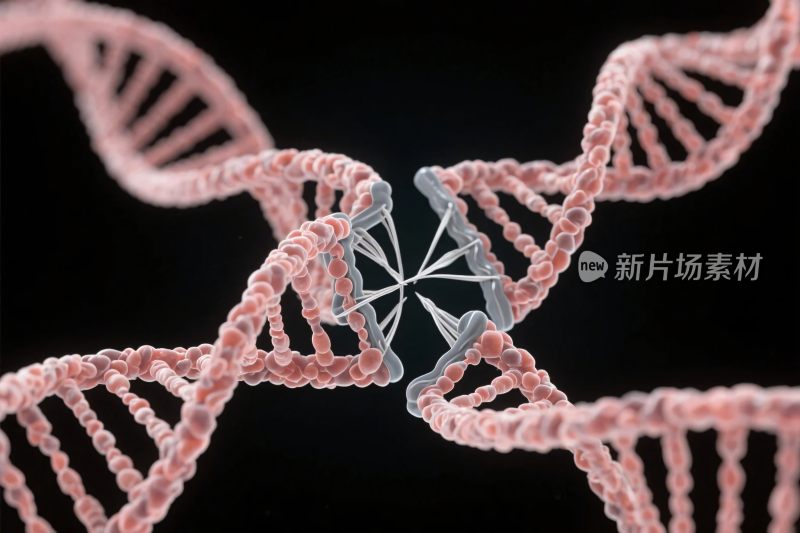 双螺旋结构插画