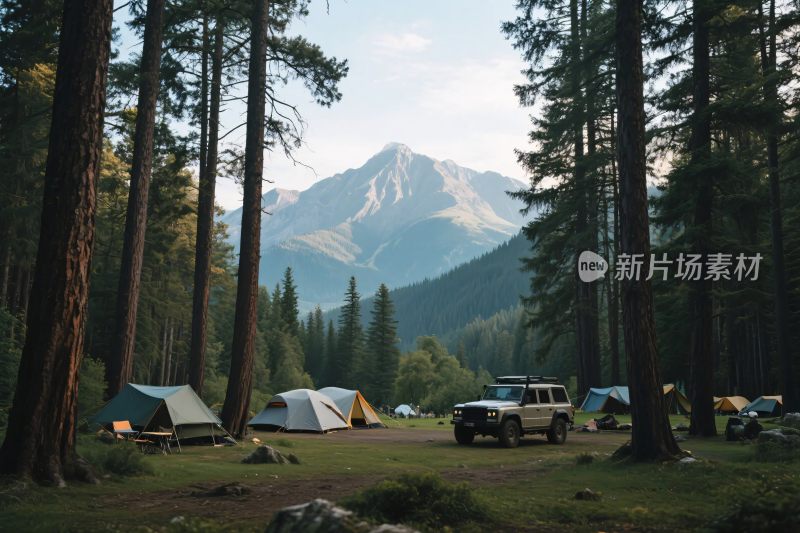 森林中的露营与越野场景