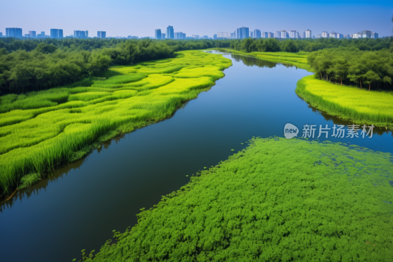 以城市为背景的河流的浅景高清图片