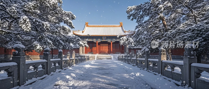 浅草寺日本古建筑雪景冬季图片