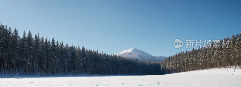 一片白雪覆盖的田野一座高山清风景横幅图片