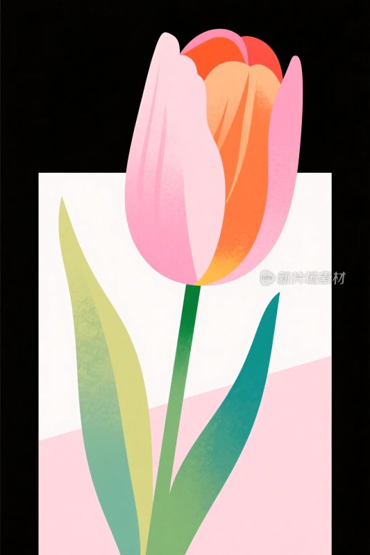 彩色郁金香插画