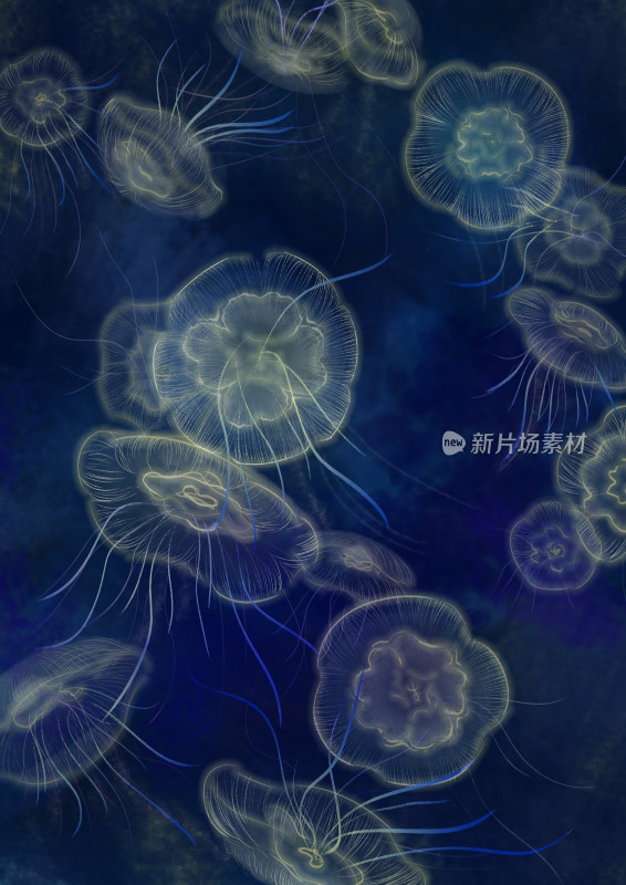 水母唯美海洋深海里的生物