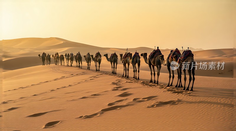 驼队穿越金色沙漠