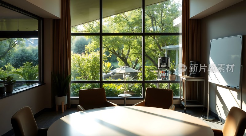 阳光洒满会议室绿意盎然映入眼帘