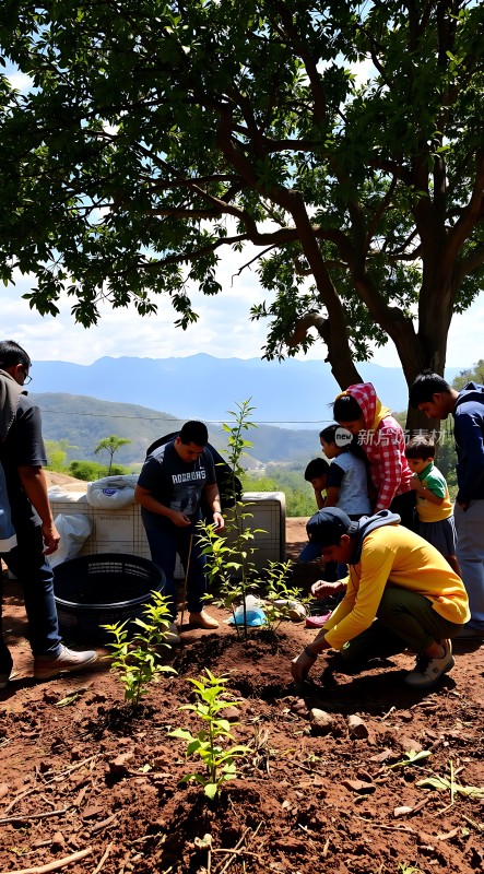 家庭植树活动共筑绿色梦想