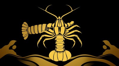 金色龙虾新片场素材 金色龙虾新片场素材