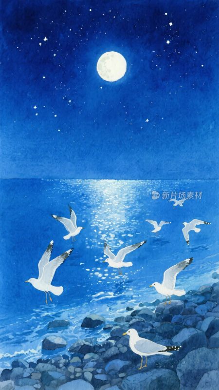 月夜下海边飞翔的海鸥