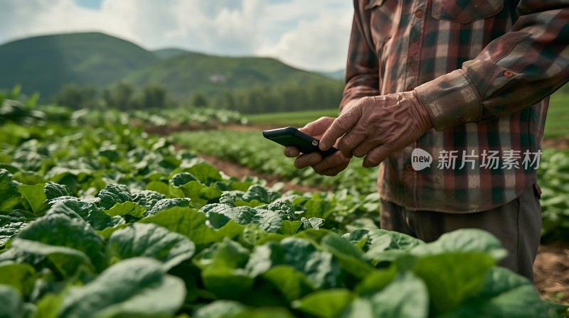 科技助力农业发展
