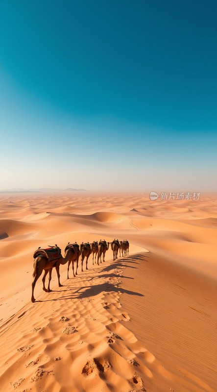 驼队穿越金色沙漠