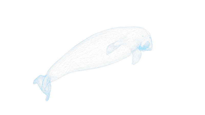 鲸鱼气球 鲸鱼抱枕海洋生物可爱大鱼鲨鱼