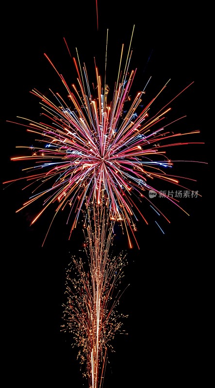 璀璨烟花绽放夜空