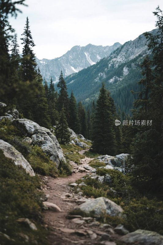 山林徒步风景图