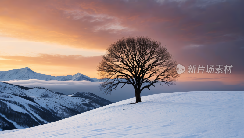 雪景山上一棵孤树山脉高清图片