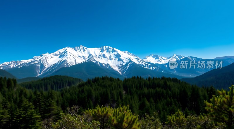 雪峰林海映蓝天