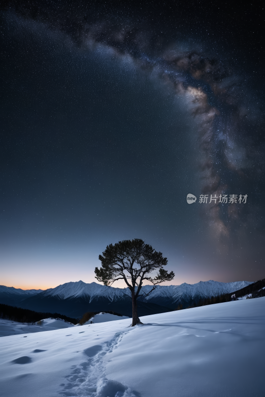 雪地里的树上满是星星高清风景图片