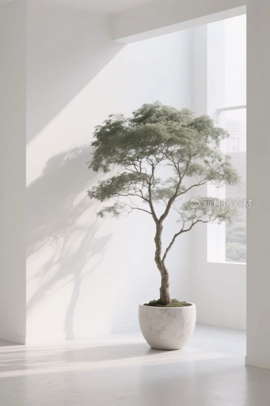 室内盆栽装饰场景