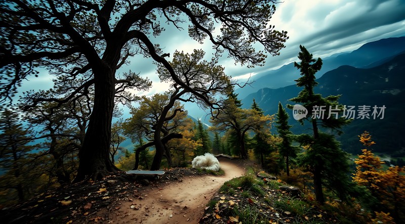 秋日山间小径漫步