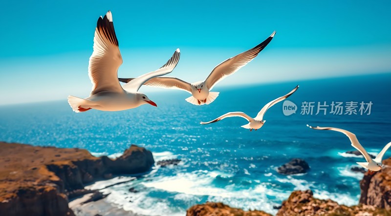 飞翔的海鸥与蔚蓝大海
