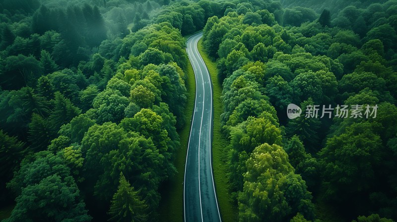 道路 自然 绿色