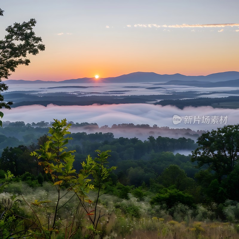 晨雾中的日出美景