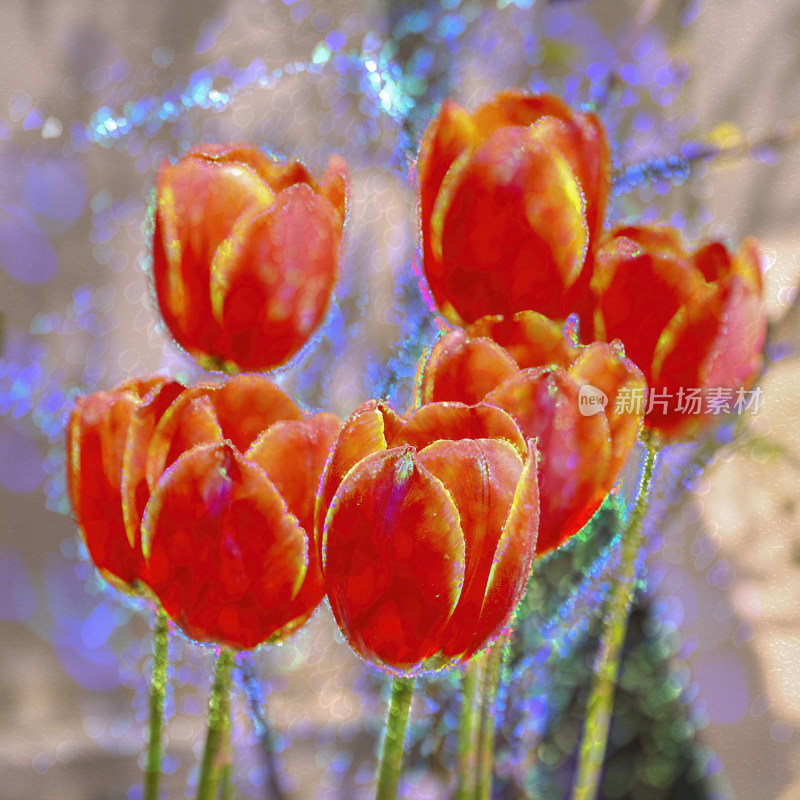 抽象花卉装饰背景