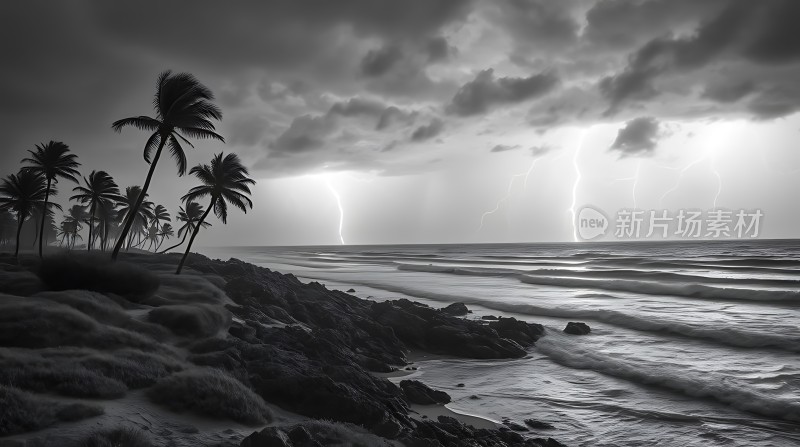 椰林闪电风暴