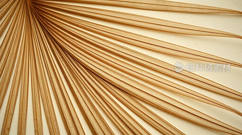 棕榈叶扇形排列