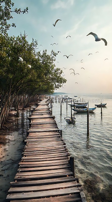 海边的木栈道与飞翔的海鸥