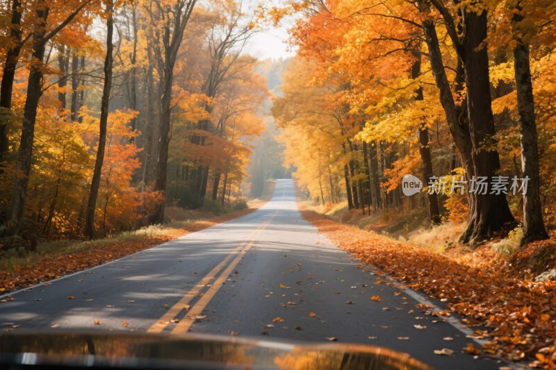 秋日林间公路美景