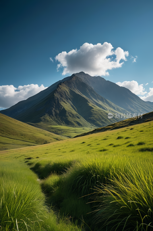 一片草地一座高山清风景摄影图片