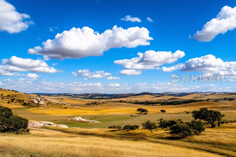 广袤草原蓝天白云美景
