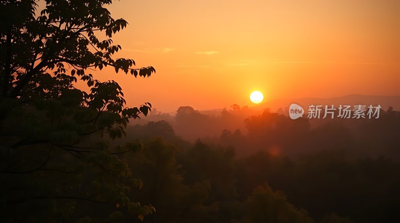 晨曦初露阳光洒满山林