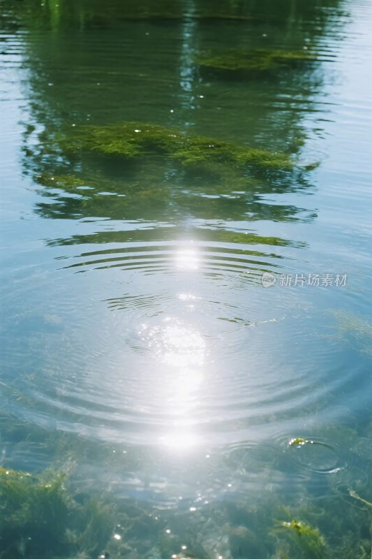 水面阳光波纹风景