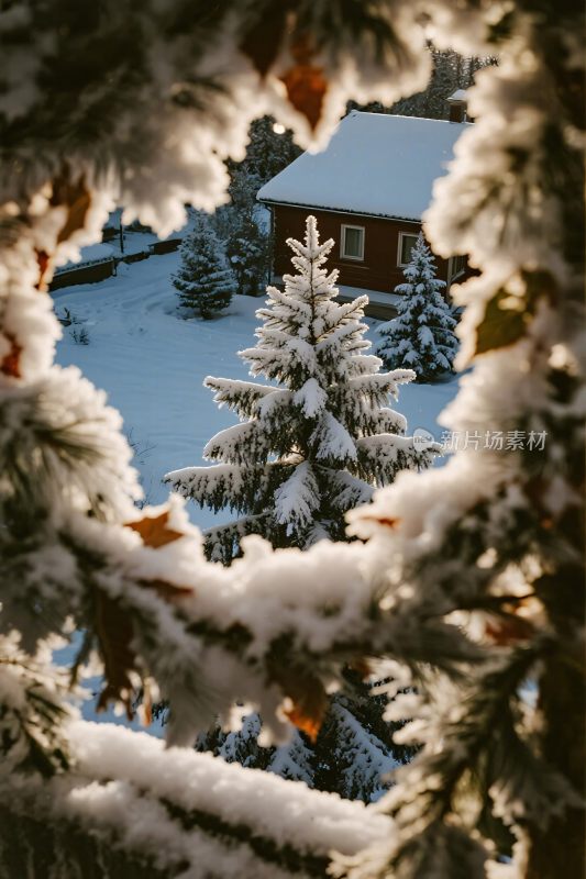 冬日雪景木屋风景