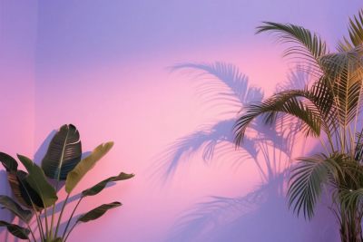 渐变光影植物画