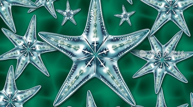 晶莹海星