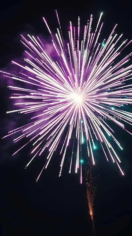 夜空烟花绽放色彩斑斓光芒四射